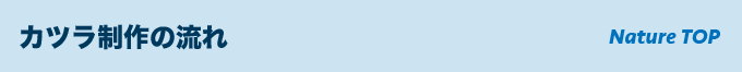 カツラ制作の流れ